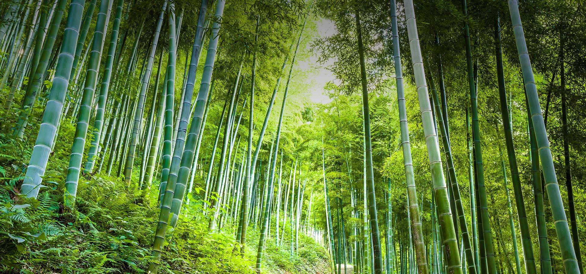 山東臨沭縣史丹利學(xué)府名苑